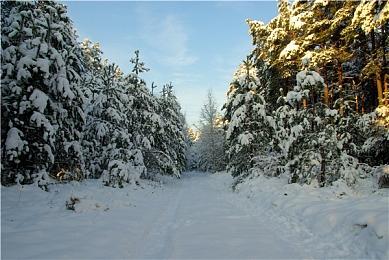 Hololive母公司发布财报 VTuber团队收入狂涨50%