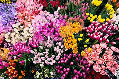 Embracer：Gearbox正在开发9款“3A游戏”